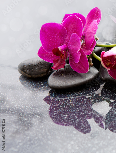 Spa background with pink orchid and stone.