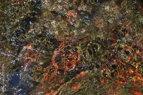 Rippled fresh water of a mountain river with colorful bottom