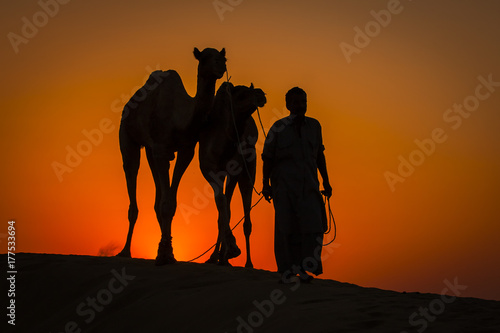 Silhouette of man and two camels at colorful sunset in Thar desert near Jaisalmer, Rajasthan, India