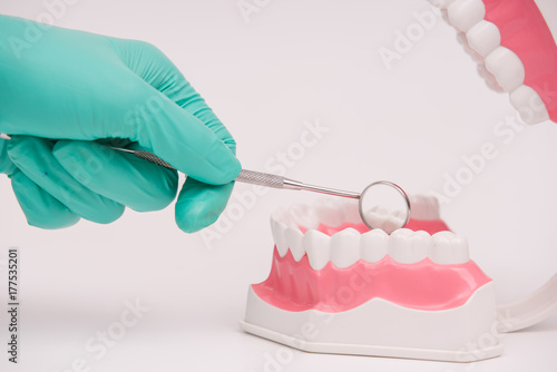 dentist use mirror examination dental model or tooth model