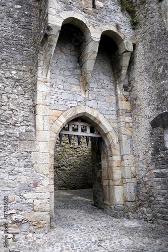 Old Castle in Ireland - Cahir   photo