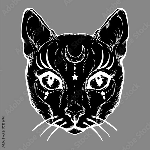 Pagan magical black cat with the symbol of the moon. Gothic graphics. Wicca.