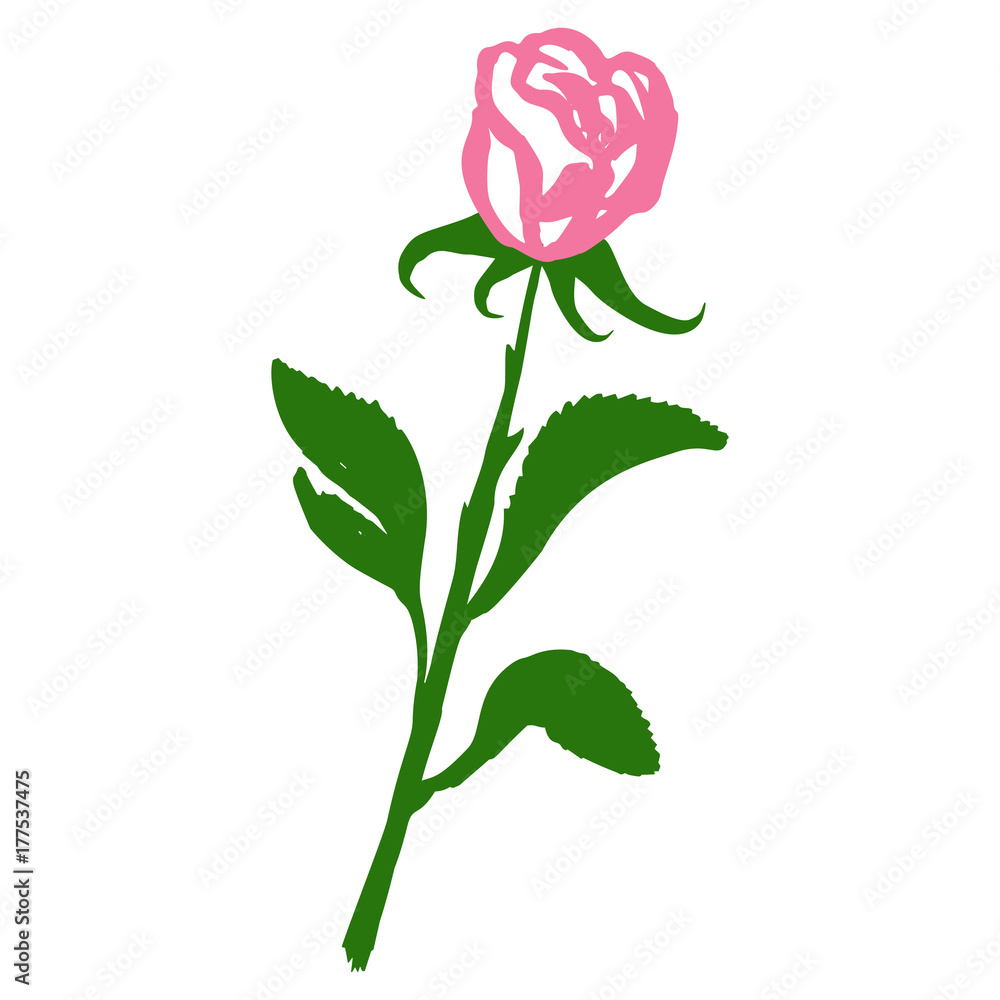 Obraz premium Rose blossom flower isolated abstract silhouette, tattoo graphic art symbol, ecology stylized vector illustration