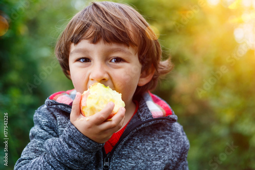 Kleiner Junge Kind Apfel Obst Früchte essen draußen Herbst Natur gesunde Ernährung