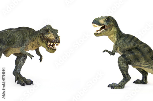 Naklejka Strzelanie Polowanie i ryczenie Tyrannosaurus (T-rex) Dinozaur na białym tle.