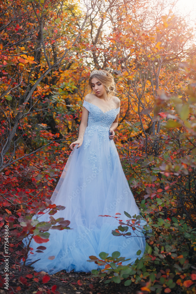 A young princess walks in a beautiful blue dress. The background is bright, golden autumn nature. Artistic Photography