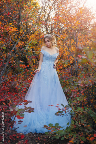 A young princess walks in a beautiful blue dress. The background is bright  golden autumn nature. Artistic Photography