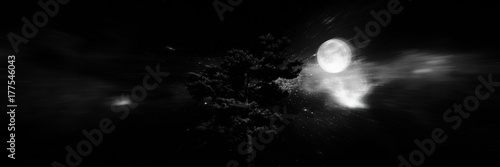 Spooky tree dark night with moon.