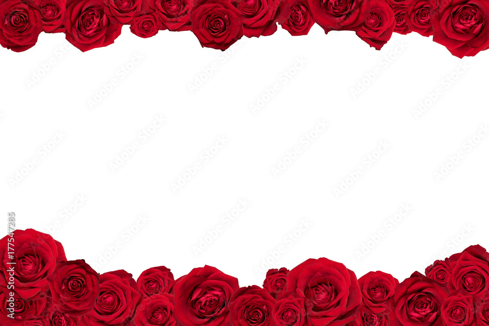 Naklejka premium Rama wykonana z czerwonych róż. Na białym tle.
