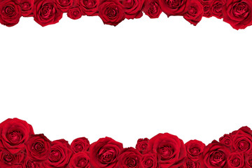 Frame made of red roses. Isolated on white.