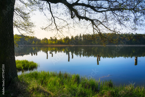 Quiet lake - spring landscape. Masuria, Poland.
