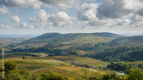 landscape of Beaujolais