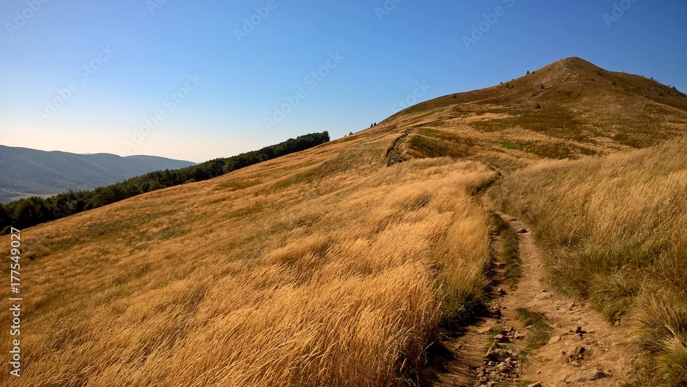 Bieszczady, Połonina Caryńska Bieszczady, Połonina Caryńska