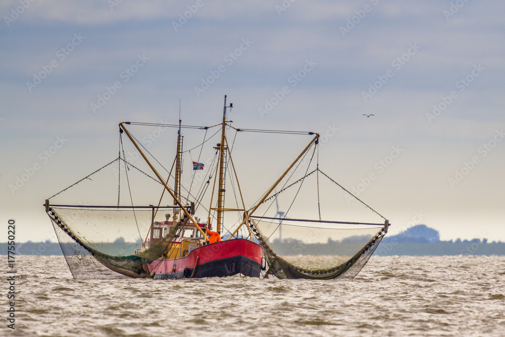 Shrimp fishing cutter vessel on the Wadden sea
