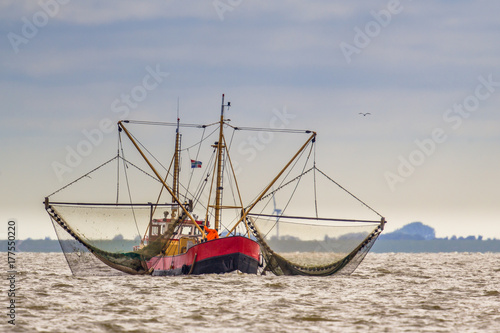 Shrimp fishing cutter vessel on the Wadden sea