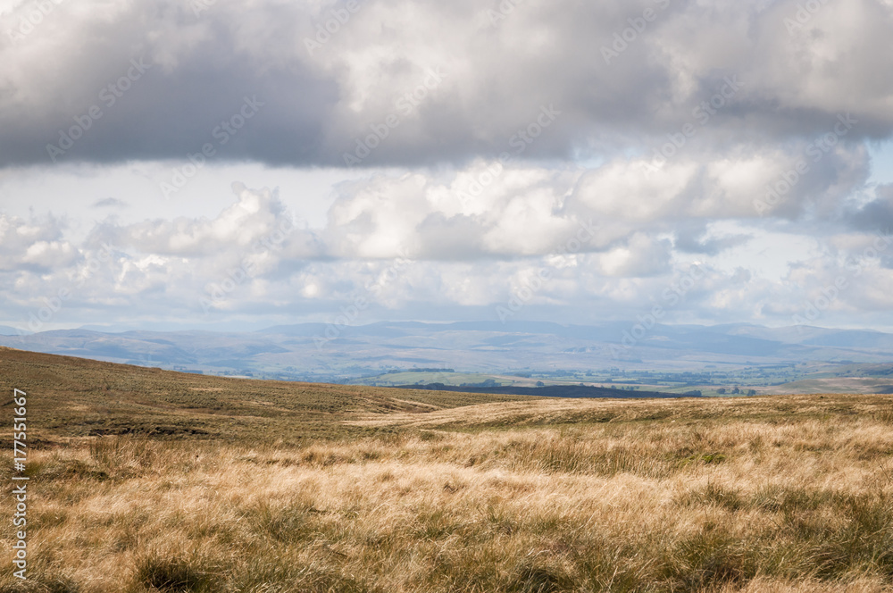 Natty Common. Looking over Nateby Common towards the Cumbrian Fells, England Natty Common. Looking over Nateby Common towards the Cumbrian Fells, England