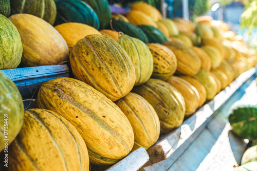 Green and yellow pumpkins at the market