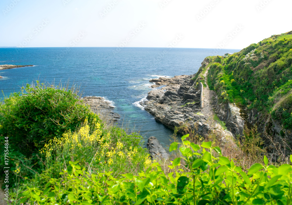 Cove Cove