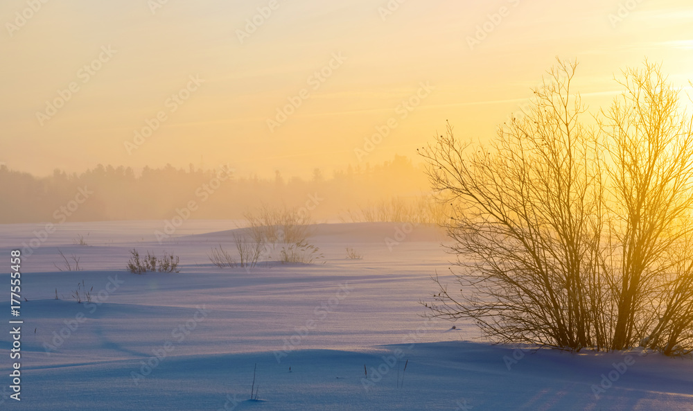 Winter foggy landscape. Winter snowfield with snowdrifts in the rays of the rising sun