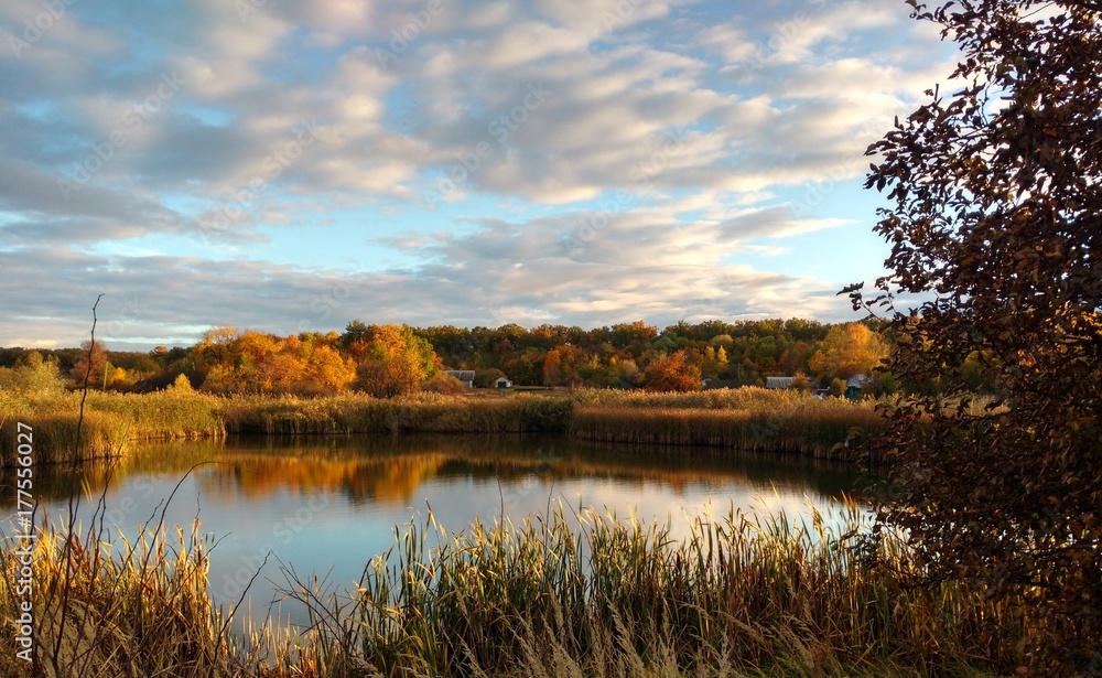 Fototapeta premium Autumn rural landscape with a pond..