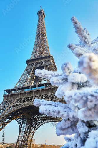 Canvas Print Christmas tree covered with snow near the Eiffel tower in Paris