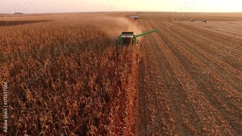 Aerial drone shot of a corn harvest photo