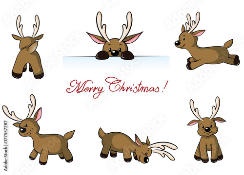 cute reindeers wishes merry christmas