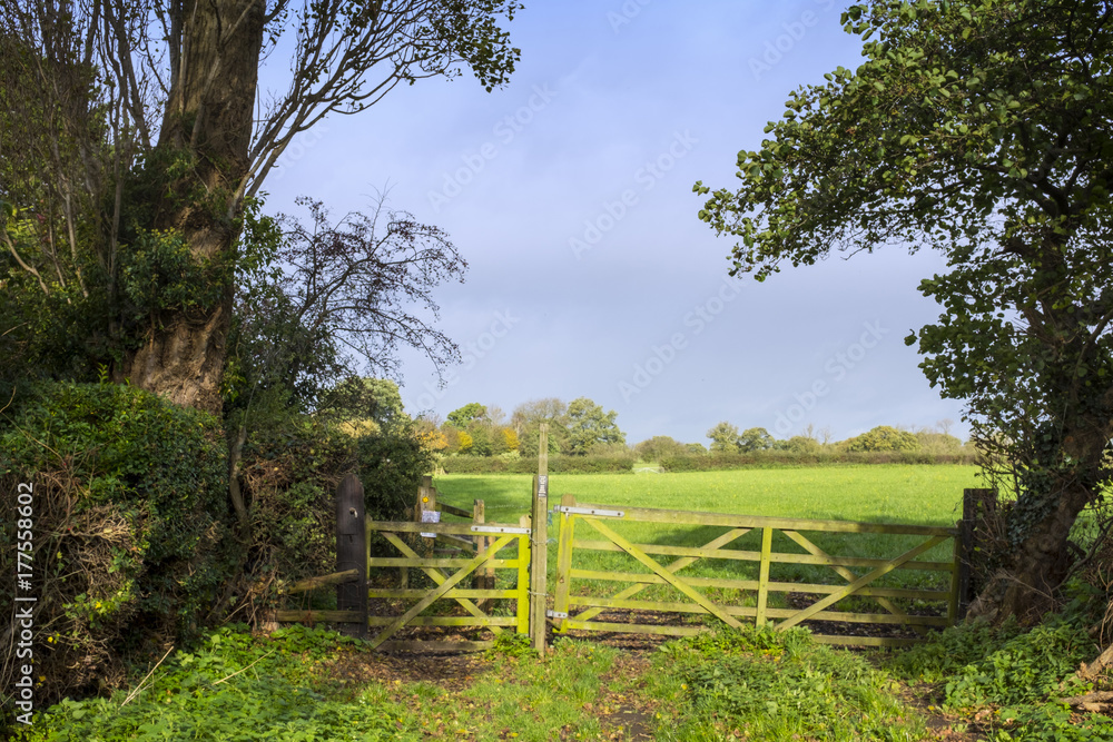 Countryside view