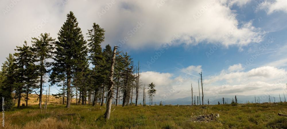 Obraz premium Beskidy