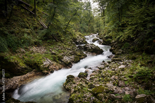 Vintgar Gorge  Slovenia