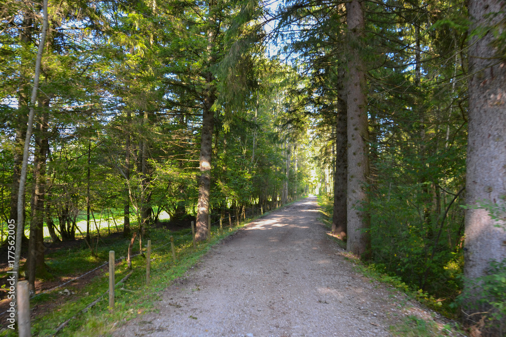 Small road in Bavaria region, Germany - near of Neuschwanstein Castle, village of Hohenschwangau Small road in Bavaria region, Germany - near of Neuschwanstein Castle, village of Hohenschwangau