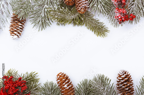 Christmas frame border on white  branches  cones and red berries