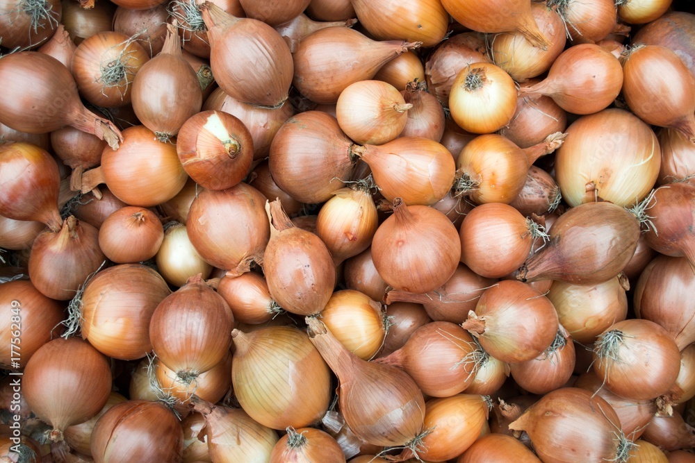 onion very useful vegetable rich in vitamins onion very useful vegetable rich in vitamins