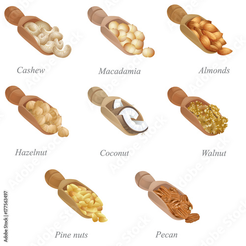 Eight shovels with nuts in them. Part one / There are cashew, macadamia, almonds, hazelnut, coconut, walnut, pecan and pine nuts in the shovels
