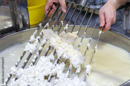 cauldron with the curdled milk brought to high temperature for the production of cheese in the dairy company