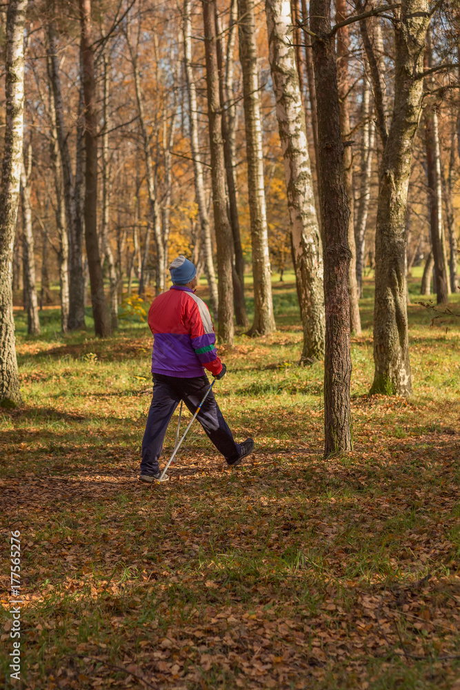 Active senior man during heatlhy nordic walk in the nature. Sports autumn Park. Active senior man during heatlhy nordic walk in the nature. Sports autumn Park.