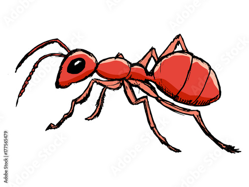 red ant from forest