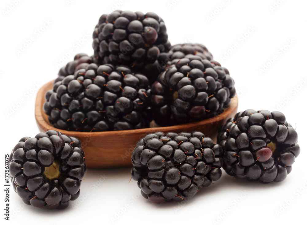 Fresh blackberries Fresh blackberries