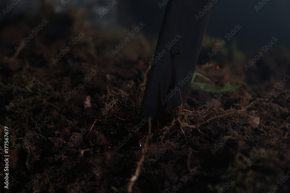 Bloody Dagger in the Ground Bloody Dagger in the Ground