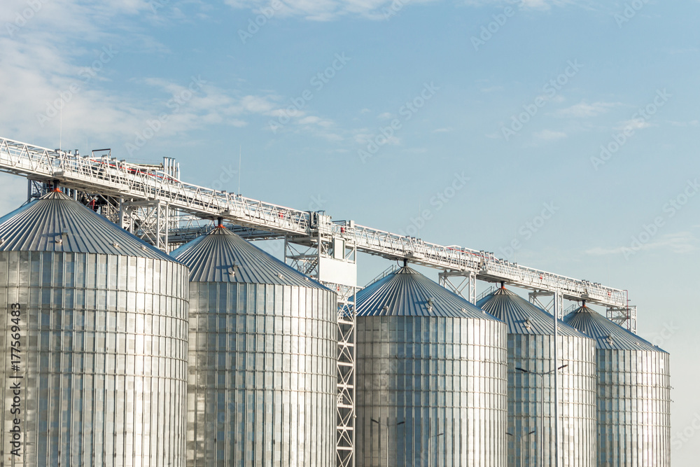 Fototapeta premium Modern agricultural silos or grain elevator with blue sky on the background. Storage of grain and other different cereals
