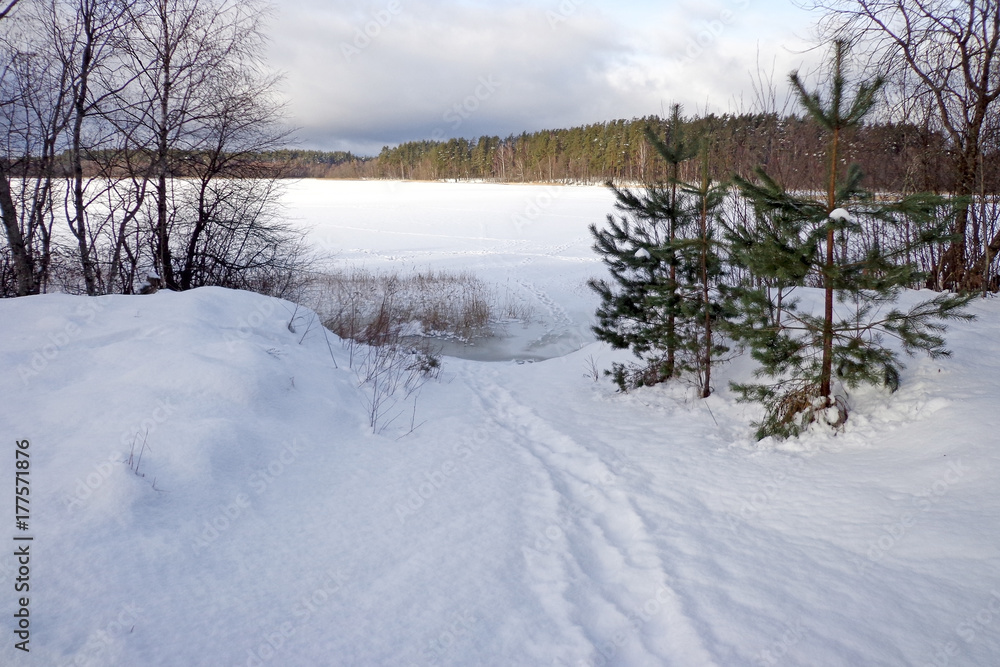 Obraz premium Winter scenery