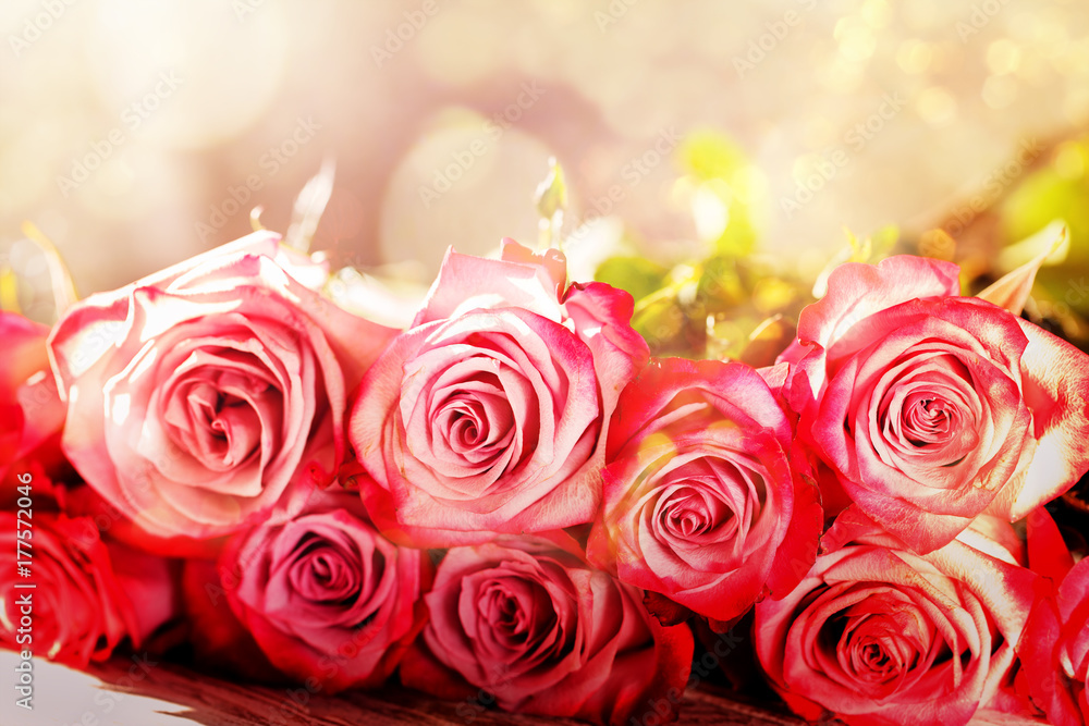 Beautiful Pink Roses Flowers Bouquet Background Beautiful Pink Roses Flowers Bouquet Background