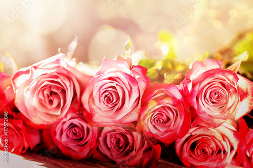 Beautiful Pink Roses Flowers Bouquet Background