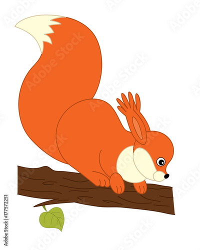 Vector Cute Cartoon Squirrel