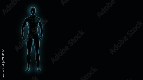 X-ray scan of a man with obesity losing weight concept of a healthy lifestyle with a blue  glow 3d rendering 4k UHD video