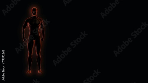 X-ray scan of a man with obesity losing weight concept of a healthy lifestyle with an  orange glow 3d rendering 4k UHD video