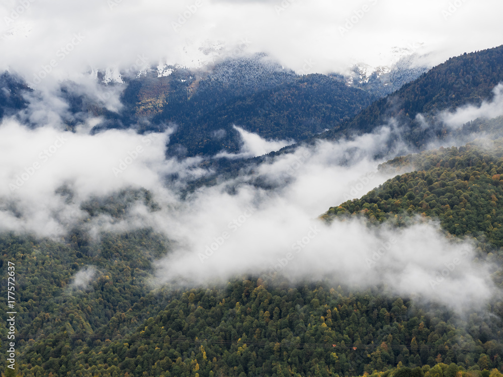 Panorama of the foggy winter landscape