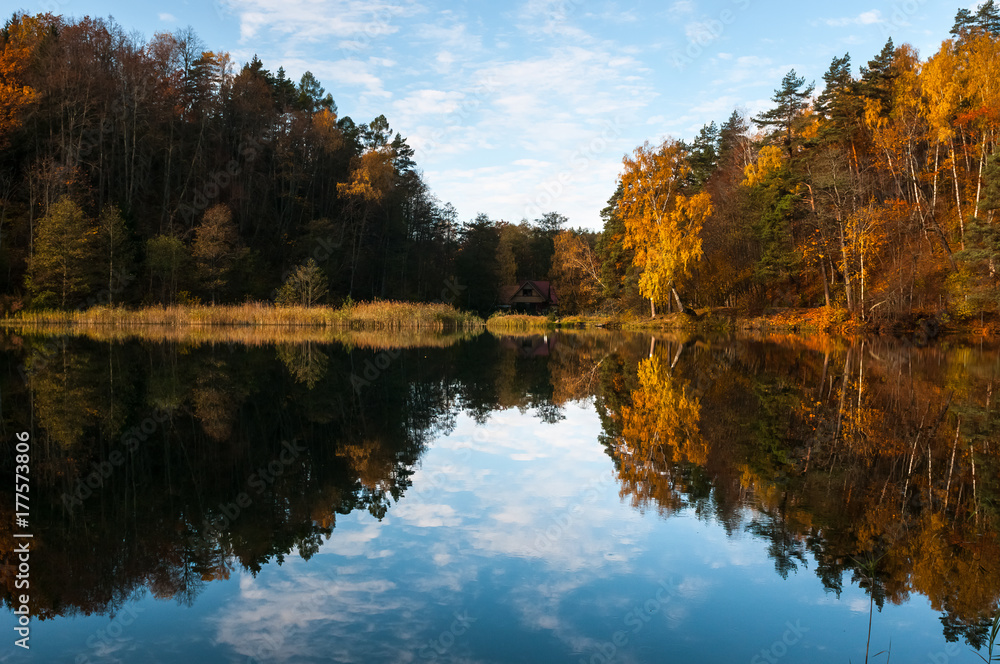 Fall view with dazzling colors and reflections in water Fall view with dazzling colors and reflections in water