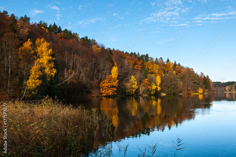 Fall view with dazzling colors and reflections in water Fall view with dazzling colors and reflections in water