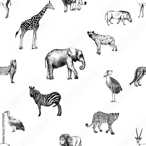 Seamless pattern of hand drawn sketch style African animals and birds. Vector illustration isolated on white background.
